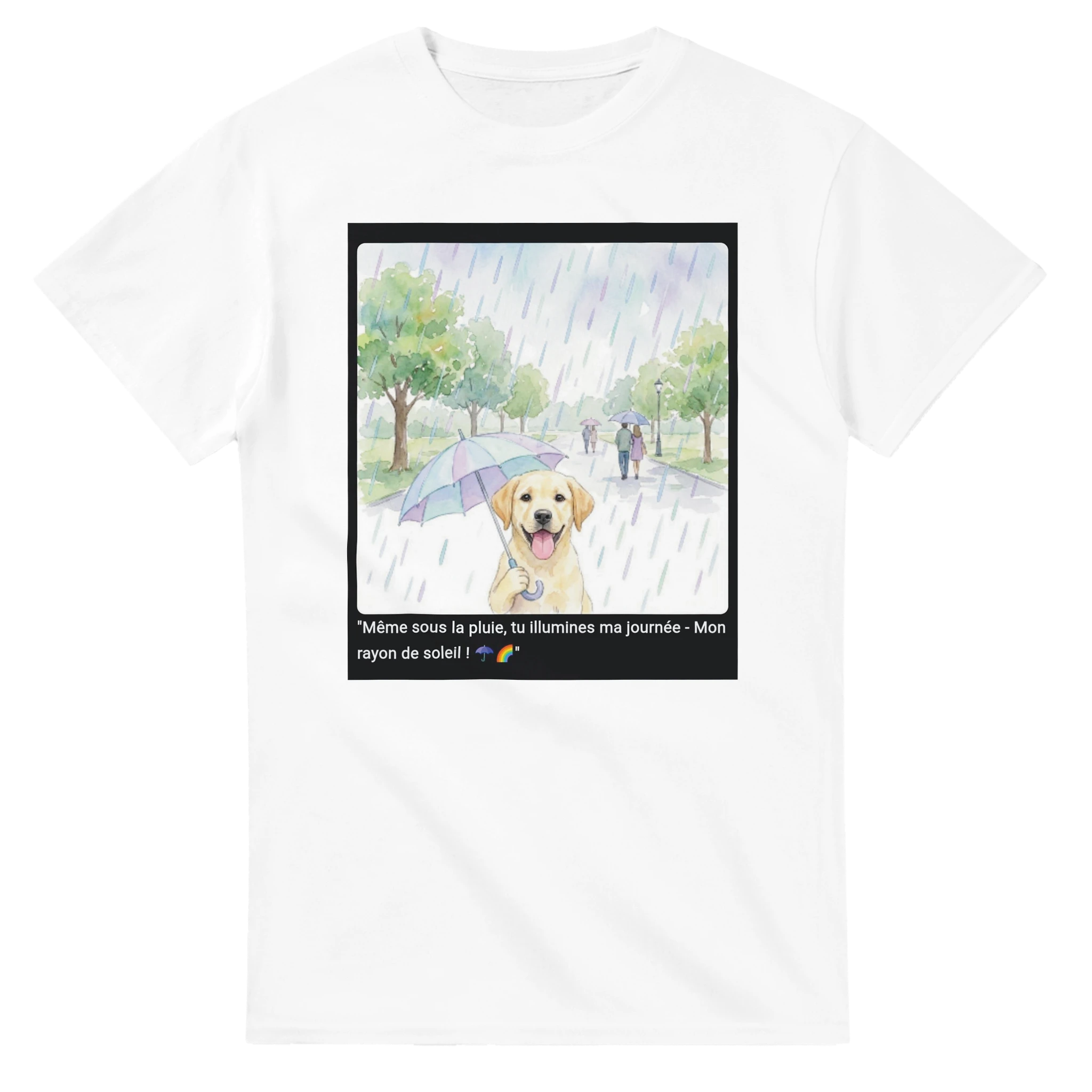 380c2953-996c-43a7-8a0b-723278a2ea84